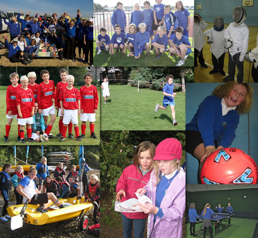 The Many Sports